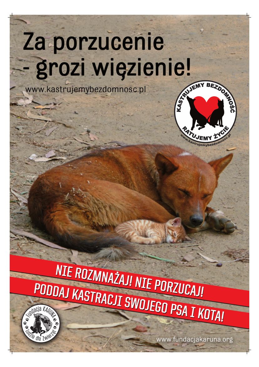 Za porzucenie grozi więzienie