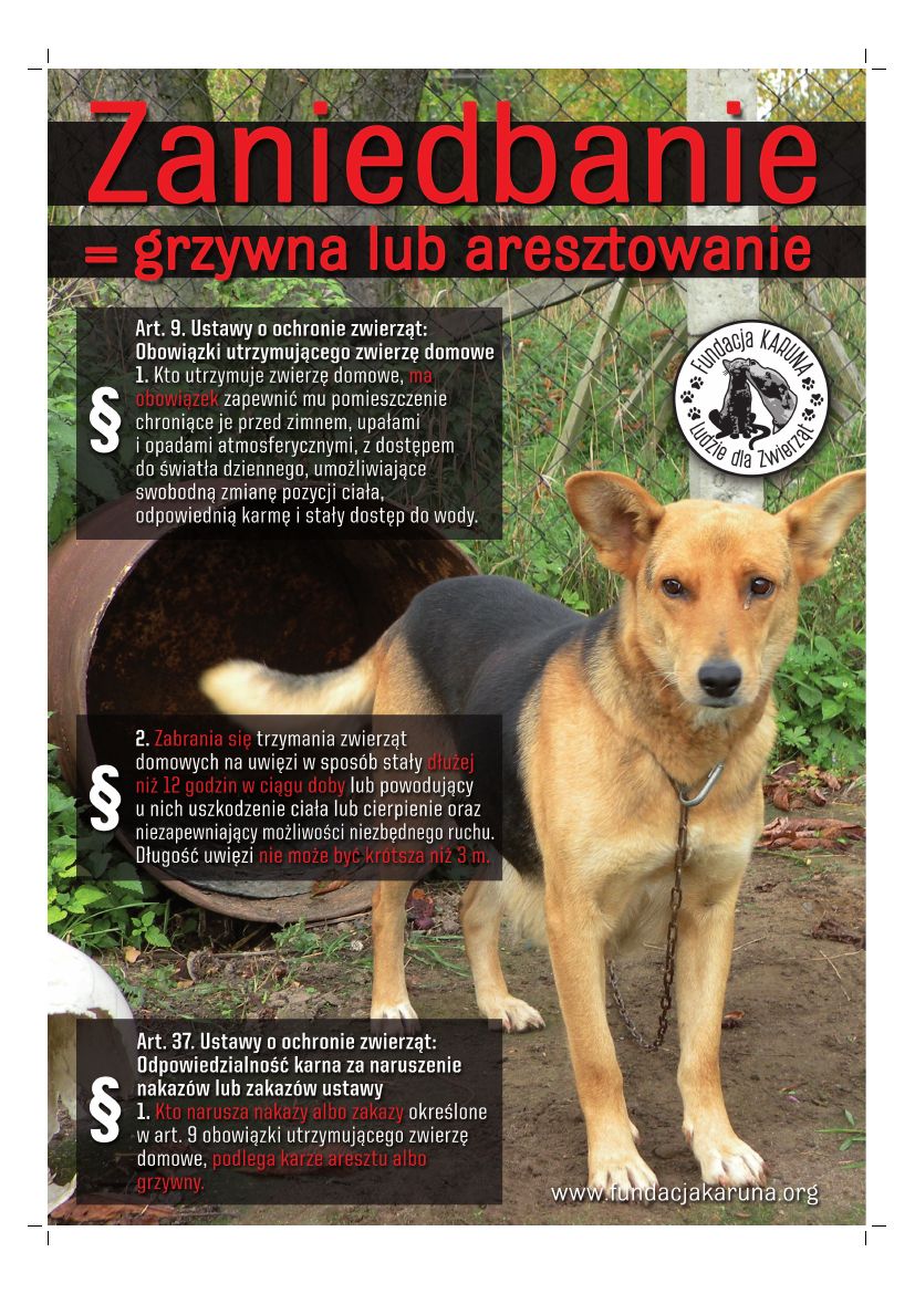 Zaniedbanie - plakat A3