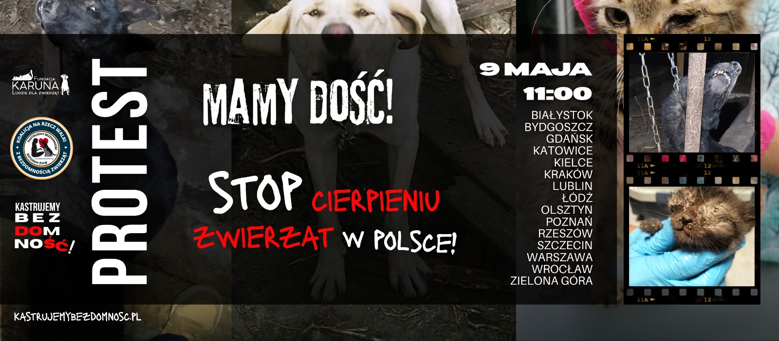 Mamy dość. Stop cierpieniu zwierząt w Polsce. Protest 9 maja, 15 miast.